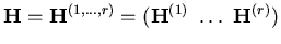 $ \mathbf{H} = \mathbf{H}^{(1,\ldots,r)} =
(\mathbf{H}^{(1)} \ldots\
\mathbf{H}^{(r)})$